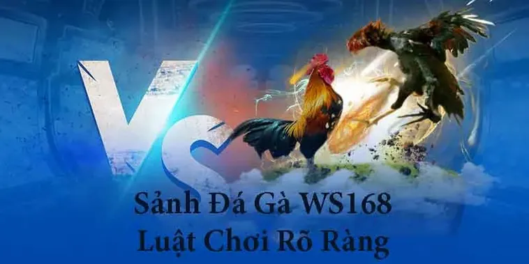 Hướng Dẫn Cách Chơi Đá Gà WS168 Tại AE6789 Chi Tiết Nhất Cho Kê Thủ
