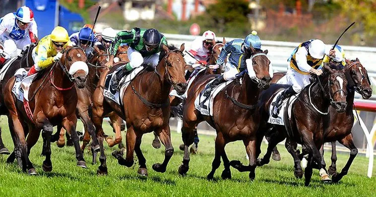 Bí Kíp Tìm Hiểu Cá Cược Đua Ngựa AE6789 Thắng Lớn Mỗi Ngày Cho Tân Thủ